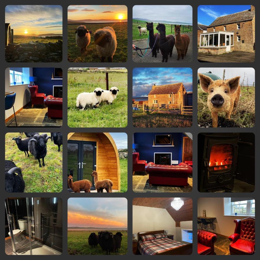 Orkney Farm Bothy Villa สตรัมนิส ภายนอก รูปภาพ